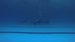 在游泳池中游泳的潜水员14秒视频