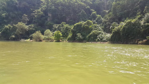 树和山背景的绿色水面风景11秒视频