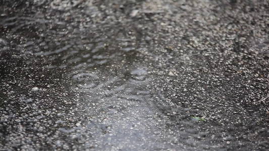 沥青2上的雨滴视频