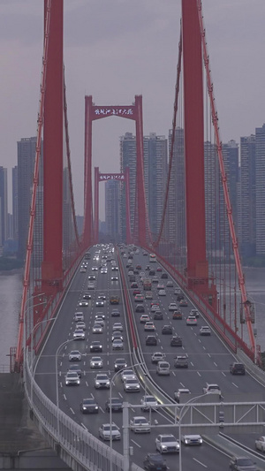 延时摄影城市日转夜地标建筑武汉鹦鹉洲长江大桥交通道路车流夜景素材车流素材25秒视频