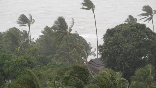 台风海洋海岸泰国自然灾害眼墙飓风强烈的极端视频