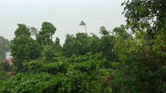 Pabuk台风海洋海岸泰国自然灾害眼墙飓风强烈的极端视频
