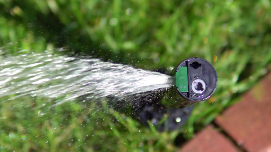 喷洒器自来水浇灌绿草坪视频