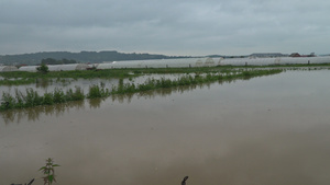 由于暴雨造成大量水流使村庄树木和洪水淹没在洪水中29秒视频