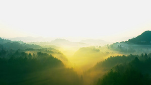 4K航拍唯美清晨森林云雾缭绕视频素材37秒视频