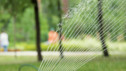 服务浇草城市公园洒新鲜关闭滴水配给在炎热的一天园丁视频