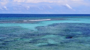 蓝海和沙巴附近清洁沙地背景的沿海海滩野生生物夏日风景9秒视频