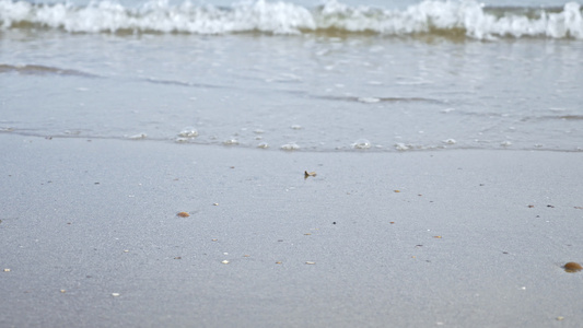 海浪沙滩视频