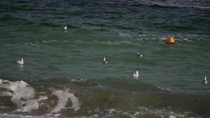 海水中的漂浮橙色浮标21秒视频