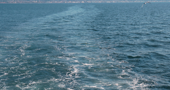 海中的海鸥在美丽的海景背景下飞翔陆地远很远的海洋深处视频