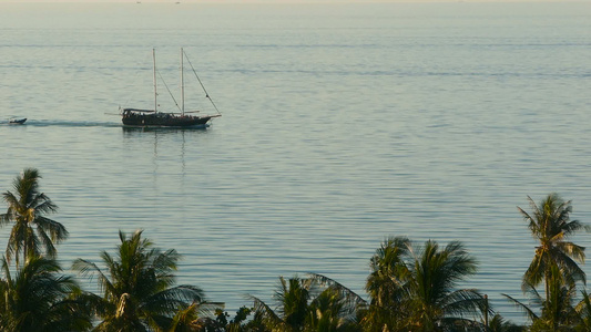 海与帆船和热带异国植物从上面可以看到平静的蓝色海洋视频