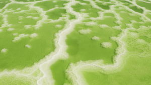 绿色盐湖天然湖底背景21秒视频