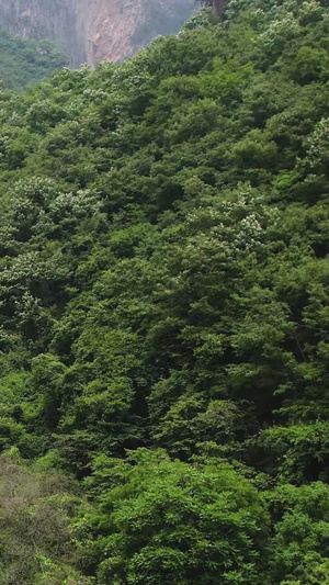 航拍5A河南云台山风景区泉瀑峡景观区视频国家水利风景区68秒视频