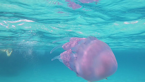 一位年轻美女在水下慢动作拍摄在透明的蓝色中游泳身上32秒视频