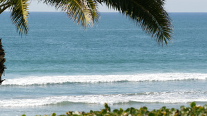 海浪和棕榈树在阳光明媚的白天19秒视频