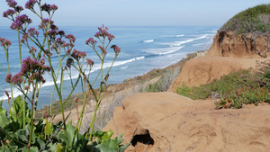 海景远景点DelMarTorreyPines加利福尼亚14秒视频