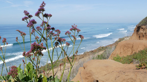 海景远景点DelMarTorreyPines加利福尼亚14秒视频