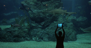 游客举着ipad拍摄水族馆40秒视频