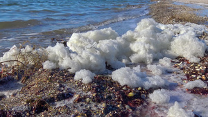 水上和海岸上的肮脏泡沫富营养化储水层污染生态问题31秒视频