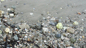 白色沙滩岸边岩石上的小海浪相近19秒视频