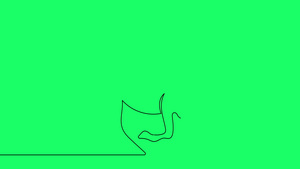 绿屏上孤立矢量对象马的连续一条线绘制的自画动画13秒视频