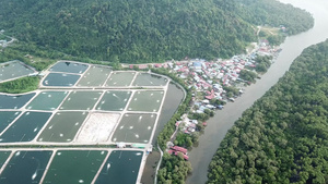 森林和河流附近的空中养鱼场12秒视频