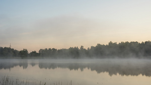 清晨在森林湖的迷雾延时12秒视频