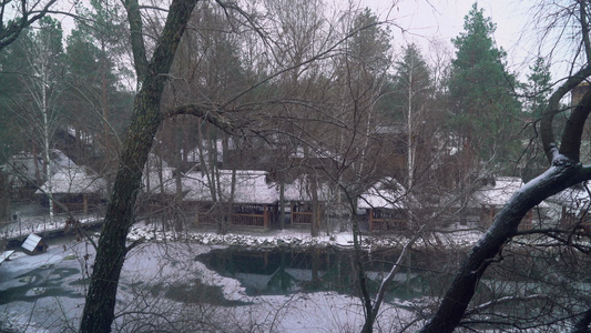 在乌克兰村的湖上下雪雪花落下树在湖周围生长视频