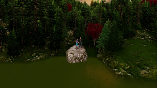 一对夫妇在河的岩石上森林背景中的背景放大视频