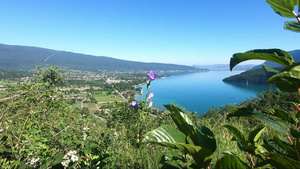 山水风景15秒视频