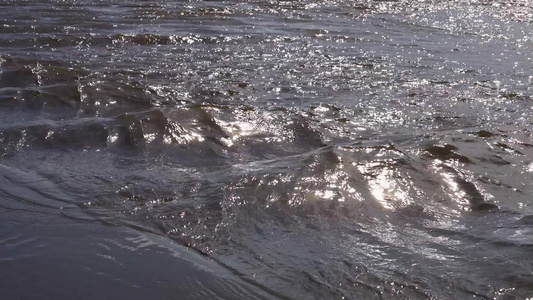 太平洋海岸小河水的迅速流淌沿着海滩奥林匹亚国家公园视频