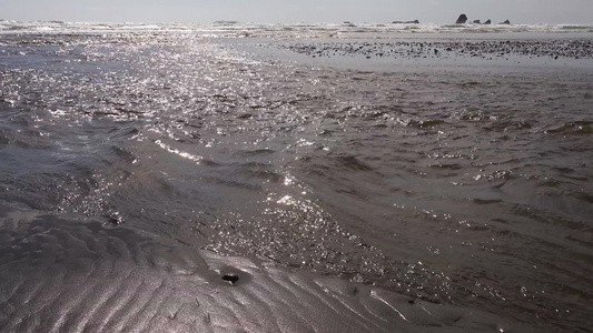 太平洋海岸小河水的迅速流淌沿着海滩奥林匹亚国家公园视频