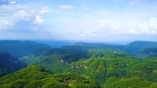 竹海 竹林竹子 风景 航拍素材实拍视频