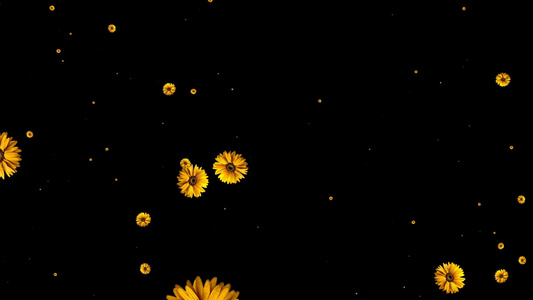 花瓣冲屏动画视频