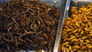 在泰国普吉的街头市场出售油炸虫子18秒视频