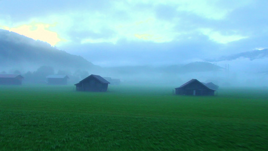 雾中的山草甸视频
