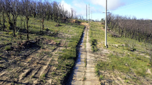 区域奥斯特利亚的泥土轨道和电话杆21秒视频