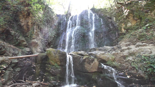 森林中的自然自然瀑布视频