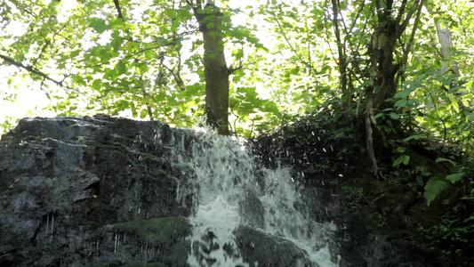森林中的自然自然瀑布视频
