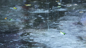 下雨雨水落地15秒视频