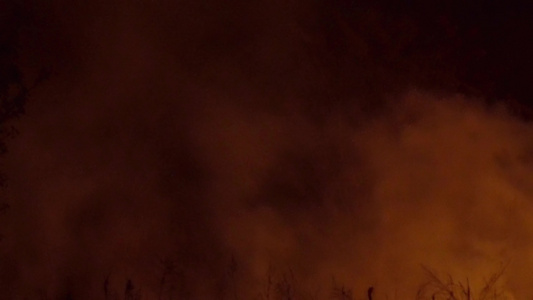 森林大火引发的强烈火焰当它们肆虐松树林和鼠尾草时火焰视频