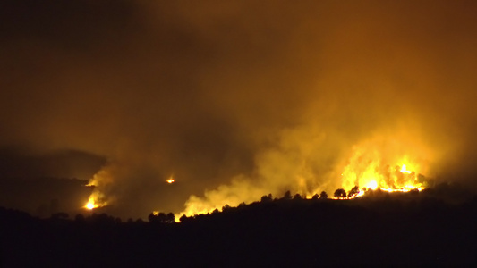 山林中夜间燃烧的野火视频