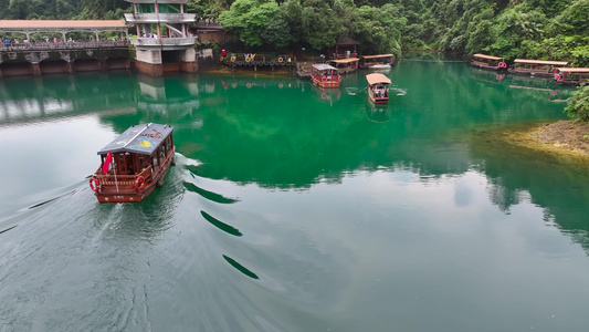 4K广东肇庆鼎湖山天湖景区蝴蝶谷视频