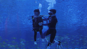 海洋馆中潜水员带小朋友潜水16秒视频