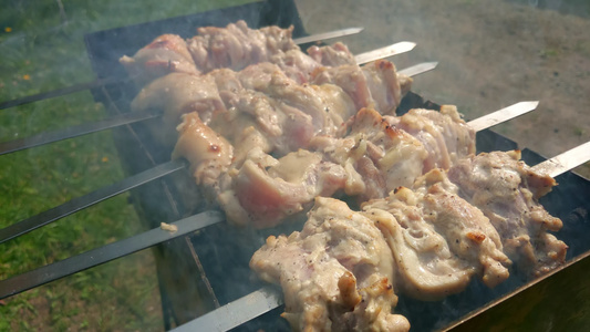 烤肉烤在火上猪肉是烧烤的烤肉视频