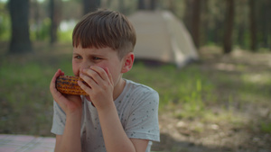 男孩在家庭露营期间在森林中搭帐篷26秒视频