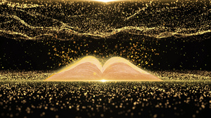 唯美金色粒子书籍 4k20秒视频