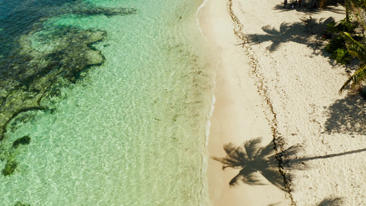 有棕榈树的热带海滩空中观察视频