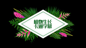 卡通植物字幕素材20秒视频