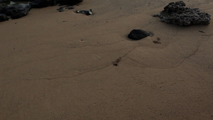 夏威夷考艾岛海滩上的岩石17秒视频